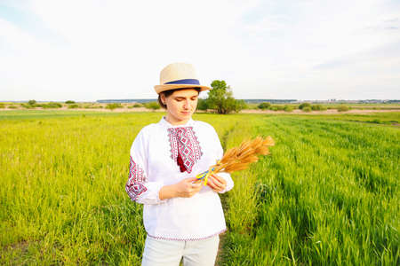 Defocus woman in vyshyvanka holding bouquet of ripe golden spikelets of wheat tied on the meadow nature background. Flag Ukraine. Independence. Agriculture Ukraine. Support. Freedom. Out of focus.の写真素材