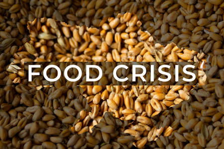 Food crisis. Ukraine map. Global and European grain and wheat crisis, Ukraine. Export word design....