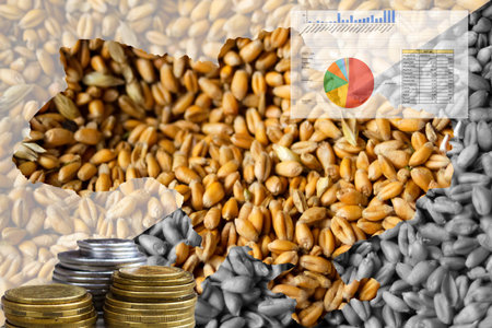 Food crisis. Ukraine map. Global and European grain and wheat crisis, Ukraine. Economic depression.の写真素材