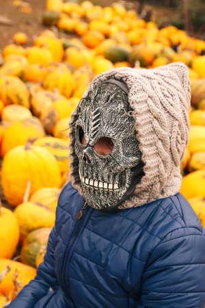 Defocus teen or preteen girl walking on nature background. Little kid girl making bunch of pampas grass. Blurred reed on foreground. Hipster, generation z. Bandana, sunglasses. Autumn, Out of focus.の写真素材
