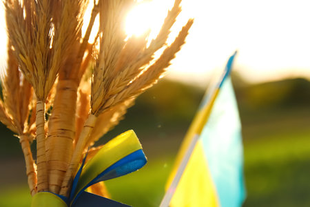 Defocus female hand holding ukrainian flag and wheat spikes of wheat tied and flag on the green nature background. Ukrainian women sunset. Freedom. Closeup. Out of focus.の写真素材