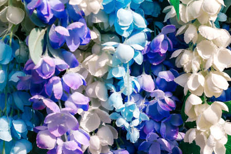 Defocus blue flowers in spring. Closeup beautiful natural background in blue and white colors. Fresh wallpaper concept, among green leaves and other blossom. Wedding background. Out of focus.の写真素材