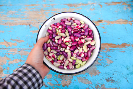 Defocus purple beans background. Hand holding plate on blue background of many grains of dried...