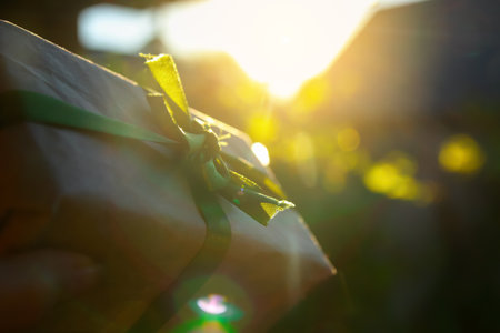 Defocus sunny eco gift. Light bokeh. Woman hands opening gift box. Christmas, new year, birthday concept. Banner, copy space. Sunny gift. Out of focus.の写真素材
