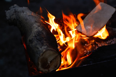 Defocus fire flame firewood fireplace wood. Bright flames burning wood on black background. Camp...