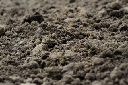 Defocus black land for plant background. Side view. Agriculture concept. Blurred. Out of focus.