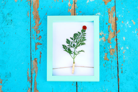 Defocus christmas tree creative frame. Winter holiday concept. Christmas tree made of leaves carrot. Flat lay. New Year nature minimal concept. Out of focus.の写真素材