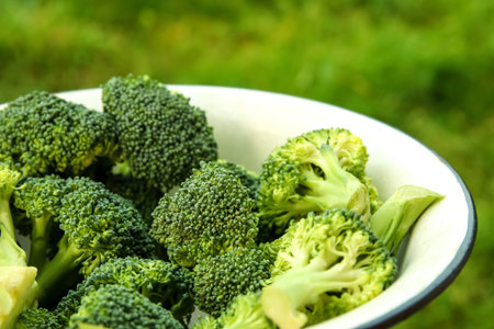 Defocus hand holding broccoli in white plate closeup nature background. Healthy Green Organic Raw Broccoli Florets Ready for Cooking. Macro. Botany. Out of focus.の写真素材