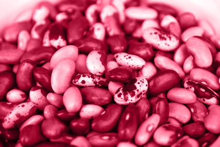red beans background. Background of many grains of dried beans. Brown beans texture. Food background. Brazilian diet snack food. Out of focus.の写真素材