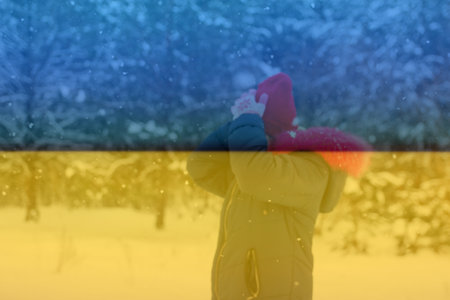 Defocus cold winter in Ukraine. The concept of the energy crisis and the increasing demand for...