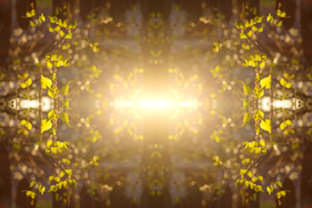 Defocus hope concept. Fresh green tree leaves, frame in sunlight. Natural blurred background with sunlight and copy space. Banner and border. Out of focus.の写真素材