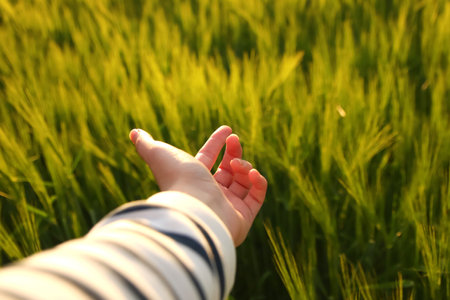 Female hand against grass. Girl runs her hand over the tall grass and touches. Walking in the fields in the sunset light. Work and life balance concept. Out of focus.の写真素材