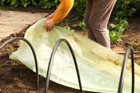 Female hands holding stretching new polythene film on greenhouse plastic black carcass. Closeup....