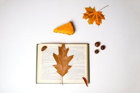 Autumn flatlay: open book adorned with vibrant yellow leaves, creating a striking contrast. White background with ample copy space. Chestnut and pumpkin pie add a touch of seasonal delight.の写真素材