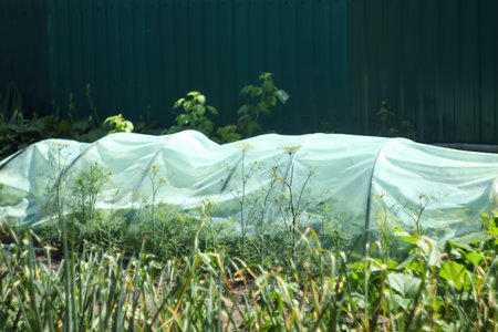 Greenhouse garden. Stretching new polythene film on greenhouse plastic black carcass. Gardening...