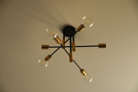 Modern chandelier with filament light bulbs, loft-style ceiling lighting, contemporary design, home...