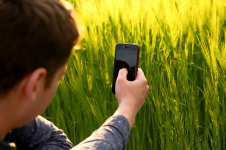 Farmer holding mobile phone on grassy meadow nature background. Farmer in wheat field, sunset scene. Technology in agriculture.の写真素材