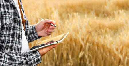 Modern farmer standing in a golden wheat field during summer, using a tablet to monitor crops. Concept of agribusiness, smart farming, and agricultural technology integration. Copy space.の写真素材