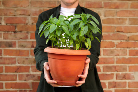 Man holding a small orange pot with a young pepper seedling, symbolizing growth, care, and...
