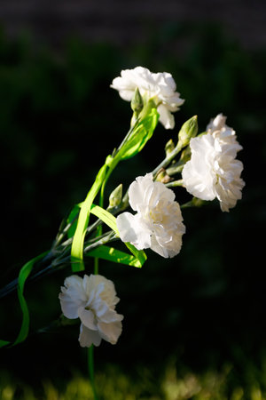 A poignant vertical image of delicate white asters and carnations with a solemn black ribbon, placed outside a memorial. Perfect for a respectful social media story or reel commemorating remembrance.の写真素材