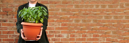 banner with a professional man and a focus on a simple and a professional gardening. gardening man...