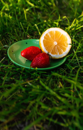 Defocus close-up saucer with lemon and two strawberry standing on deep green grass. Blurred nature background. Bright summer fruits outside. Sunshine. Vitamin c. Out of focus.の写真素材