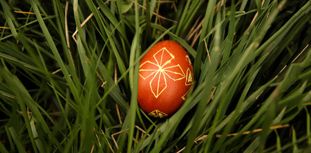 Traditional Ukrainian Easter egg hidden in green grass. Close-up of a red pysanka with hand-drawn folk ornaments lying in thick blades of grass. Easter egg hunt concept.の写真素材