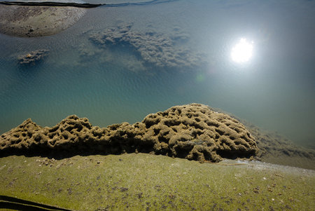 A sea side coral reef in the Cox's Bazar where the world's longest beach is situated.の写真素材