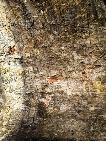 Wooden rusty abstract Background. An old wooden trunk used in butcher's work.の写真素材