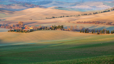 Farmhouse, cultivated grain Fields and Cypress Trees in Tuscanyの写真素材