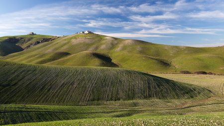 Tuscany Landscape with Farmhouse, green grain fields, blue skyの写真素材