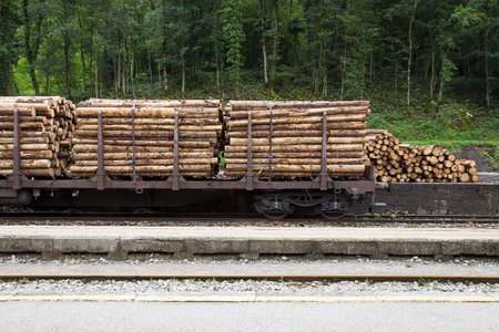 Logs on Freight train - Transportationの写真素材