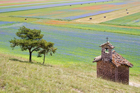 Wheat and flower field with Little Chapel - Landscapeの写真素材