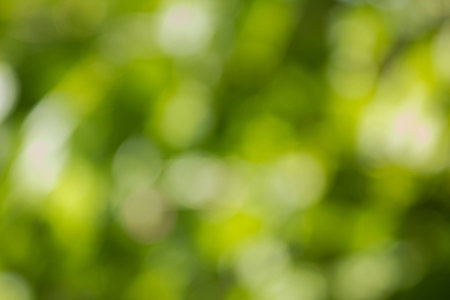 Natural green blurred and bokeh background,Abstract backgrounds.の写真素材