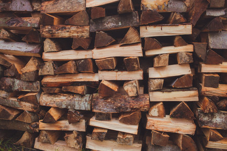 Cross section of the timber, stacked wood for the backgroundの写真素材