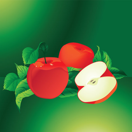 Red Apples, Fresh Fruitのイラスト素材