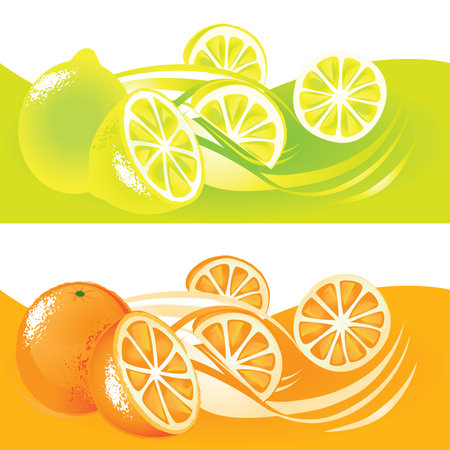 Lemons and Orangesのイラスト素材