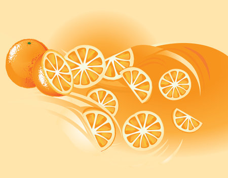 Orange, Fruitのイラスト素材