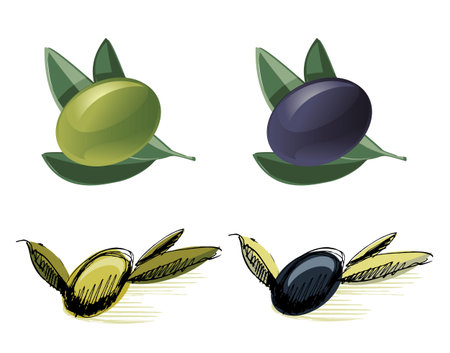 Green and black olivesのイラスト素材