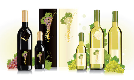 Packaging design for red and white winesのイラスト素材