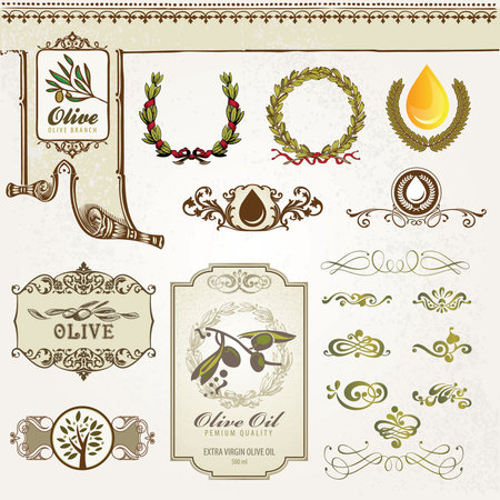 Collection of olive elements のイラスト素材