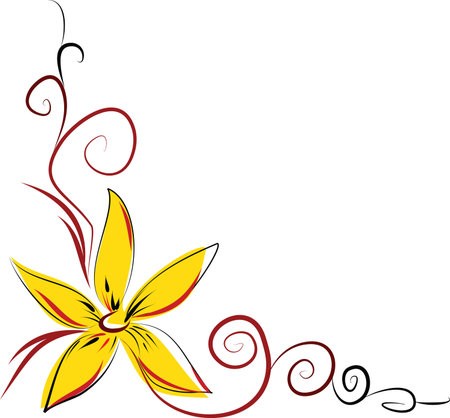 Orange lilyのイラスト素材