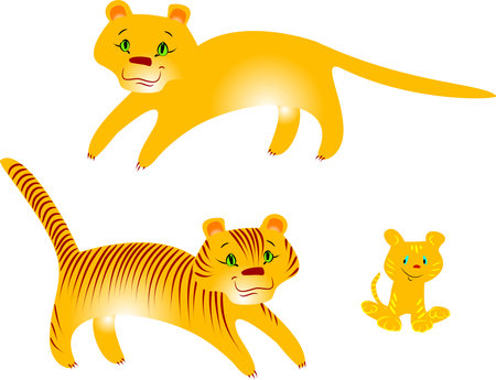 Tigers and pumaのイラスト素材