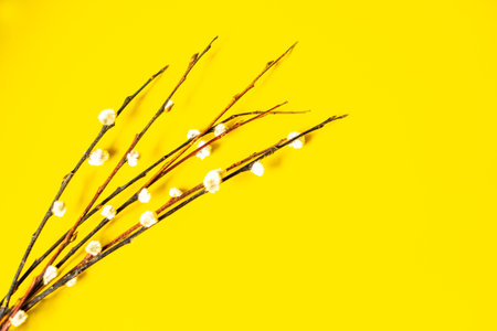 Background with a bouquet of willow branches. Congratulatory background. Happy Easter and spring.の写真素材