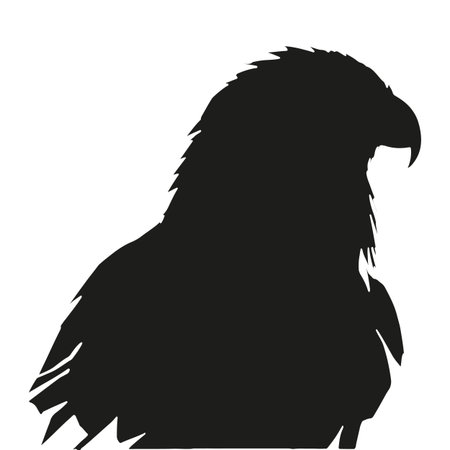 A black eagle silhouette vector illustration with isolated backgroundのイラスト素材