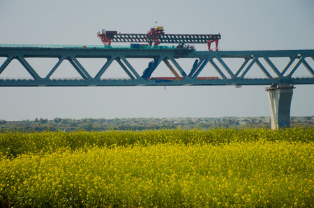 A musterd field lanscape with one of the biggest project of bangladesh name the Padma Bridge.のeditorial素材