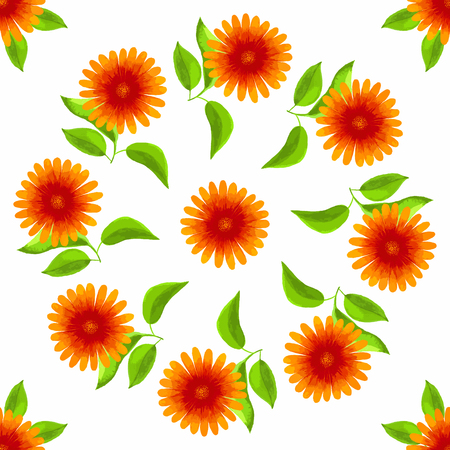 Seamless watercolor gerbera pattern on white backgroundのイラスト素材