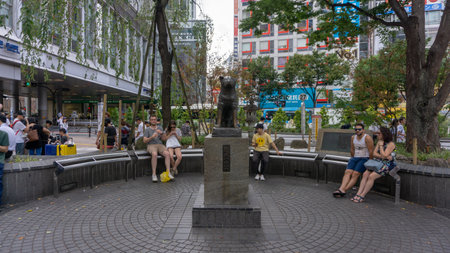 Tokyo, Japan - August 2018: Unidentified tourists sitting around statue of Hachikoのeditorial素材