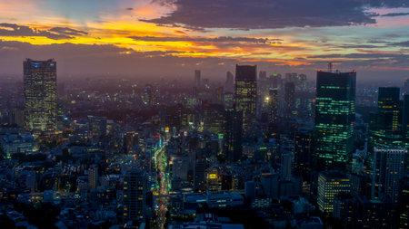 Tokyo, Japan - August 2018: Aerial view of Tokyo at night from Tokyo Tower observation deckのeditorial素材