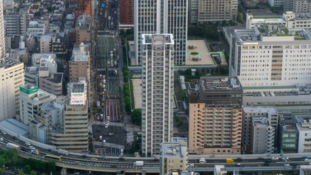 Tokyo, Japan - August 2018: Aerial cityscape of Tokyo from top of Tokyo Tower